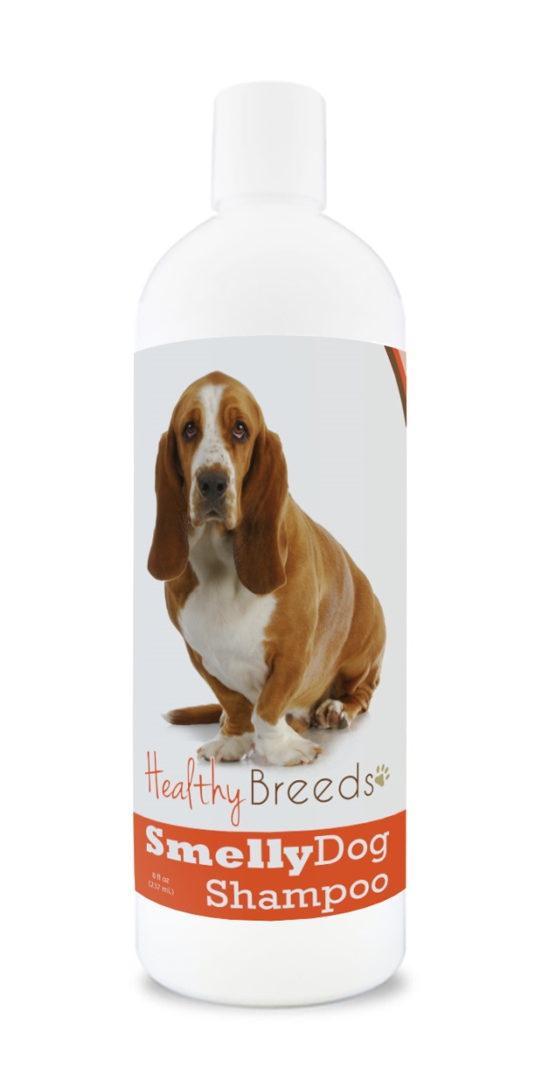 Basset Hound Smelly Dog Baking Soda Shampoo
