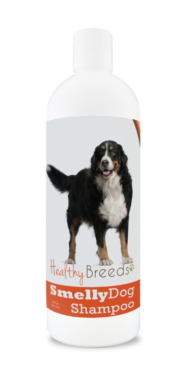 Bernese Mountain Dog Smelly Dog Baking Soda Shampoo