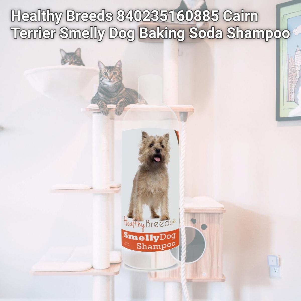 Picture of Healthy Breeds 840235160885 Cairn Terrier Smelly Dog Baking Soda Shampoo