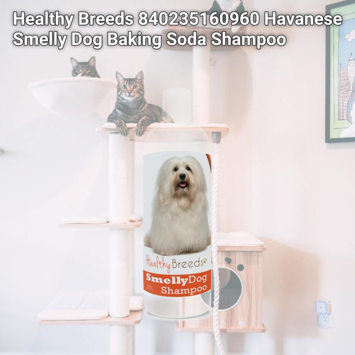 Picture of Healthy Breeds 840235160960 Havanese Smelly Dog Baking Soda Shampoo