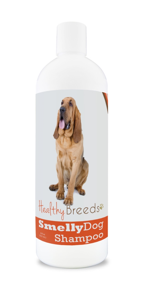 Picture of Healthy Breeds 840235160977 Bloodhound Smelly Dog Baking Soda Shampoo