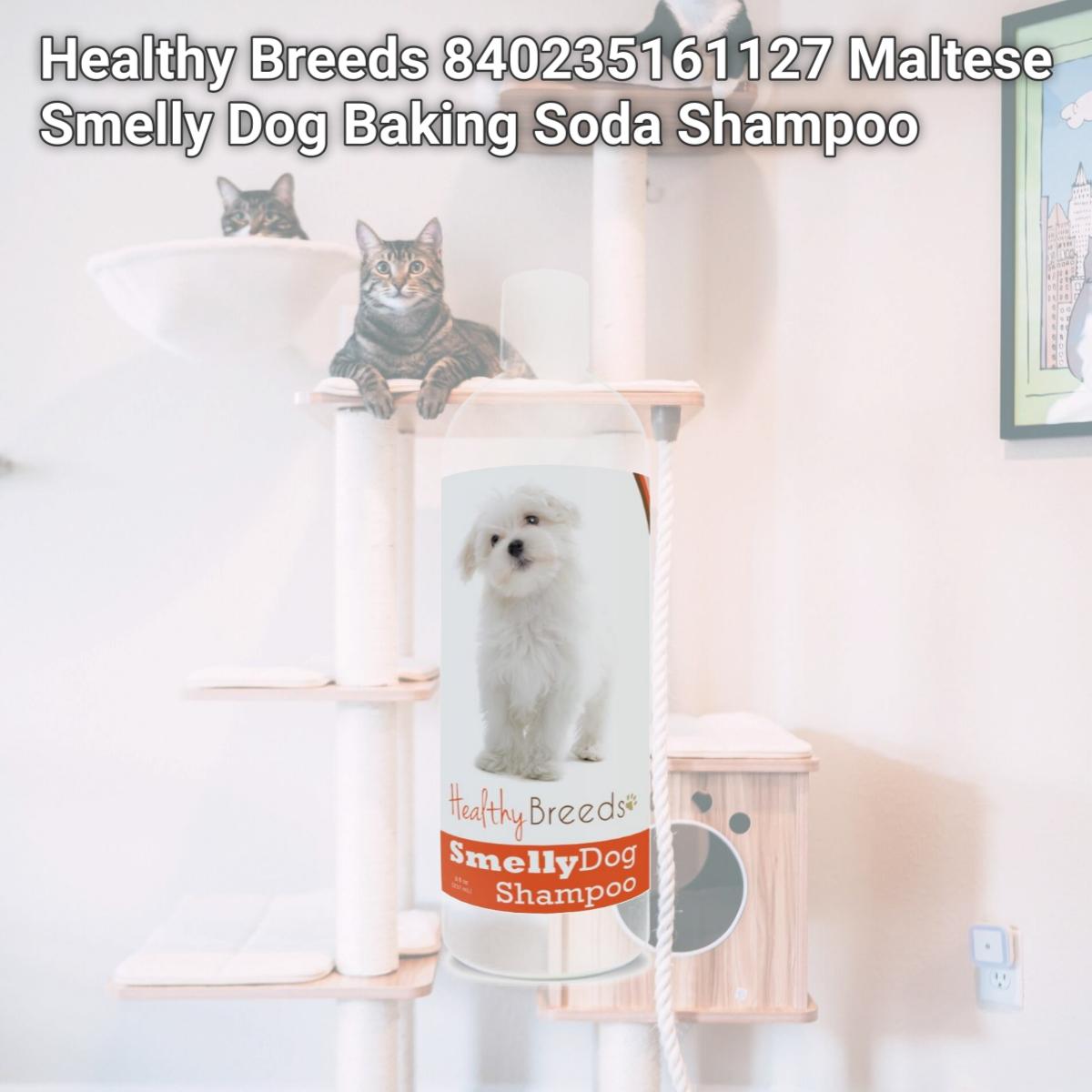 Picture of Healthy Breeds 840235161127 Maltese Smelly Dog Baking Soda Shampoo