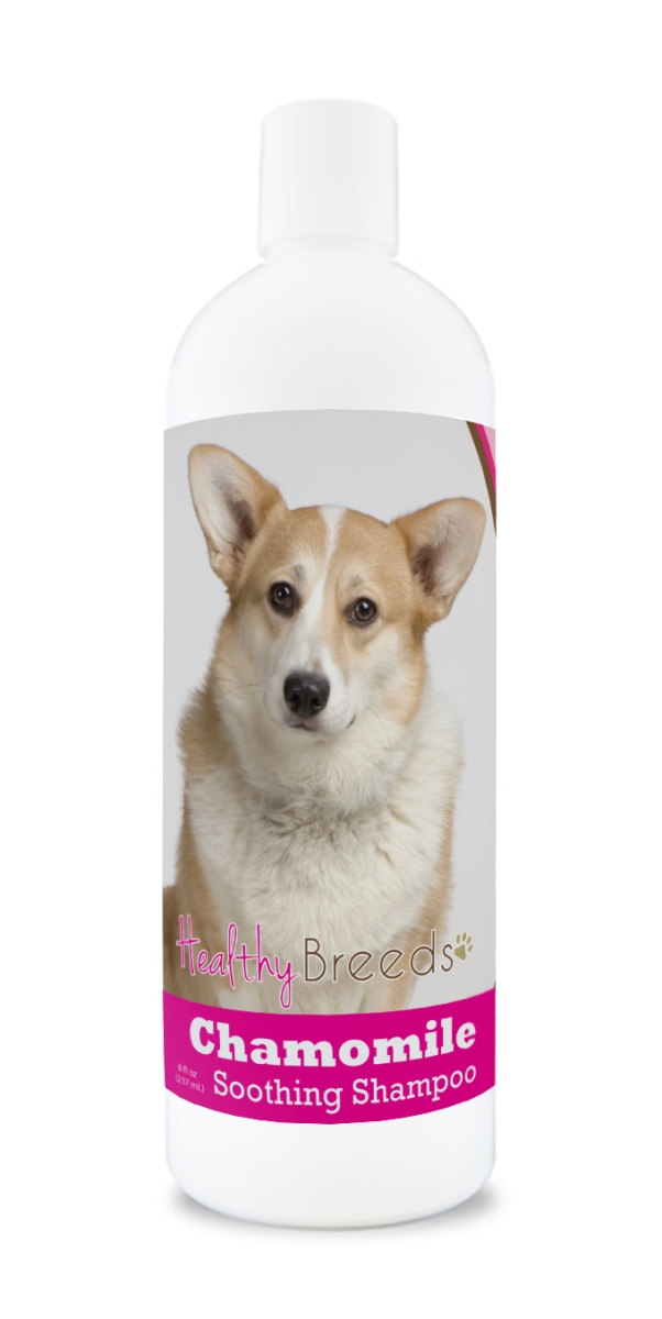 Picture of Healthy Breeds 840235161394 Cardigan Welsh Corgi Chamomile Soothing Dog Shampoo