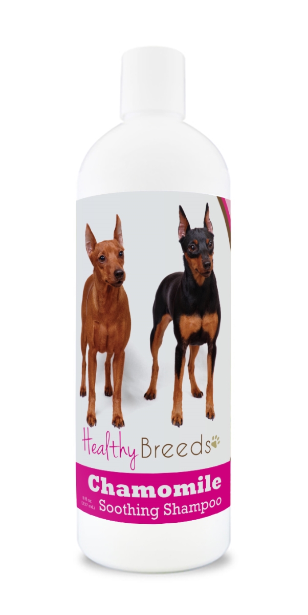 Picture of Healthy Breeds 840235161516 Miniature Pinscher Chamomile Soothing Dog Shampoo