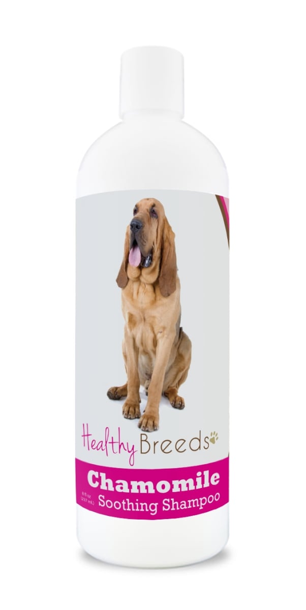 Picture of Healthy Breeds 840235161622 Bloodhound Chamomile Soothing Dog Shampoo