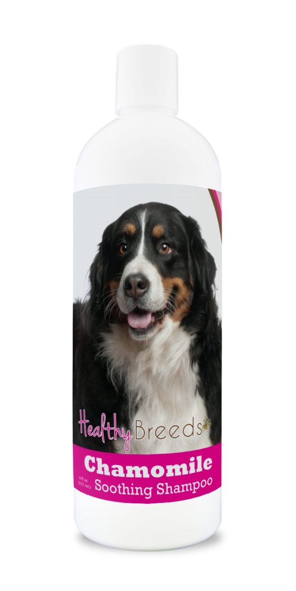 Picture of Healthy Breeds 840235161714 Bernese Mountain Dog Chamomile Soothing Dog Shampoo