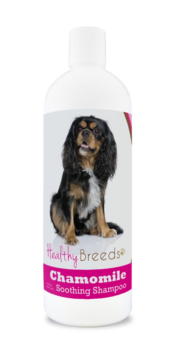 Picture of Healthy Breeds 840235161837 Cavalier King Charles Spaniel Chamomile Soothing Dog Shampoo