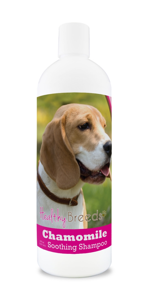 Picture of Healthy Breeds 840235162360 Beagle Chamomile Soothing Dog Shampoo