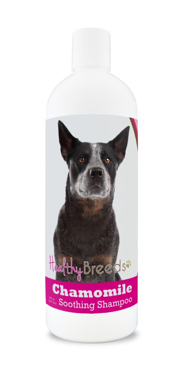 Picture of Healthy Breeds 840235162391 Australian Cattle Dog Chamomile Soothing Dog Shampoo