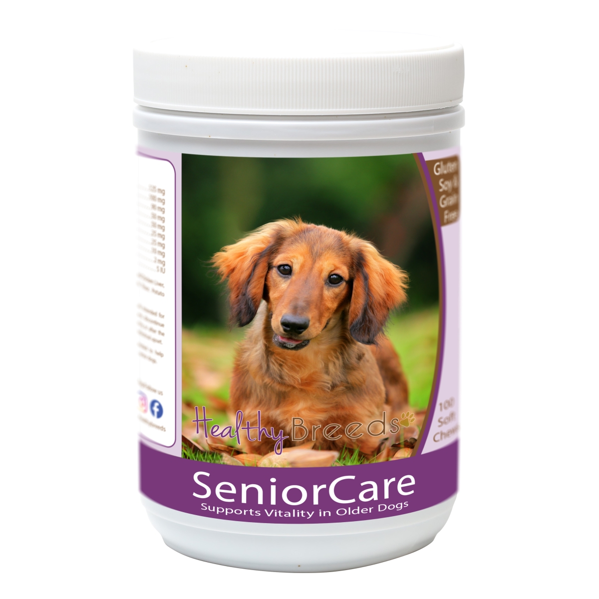 Dachshund Senior Dog Care Soft Chews