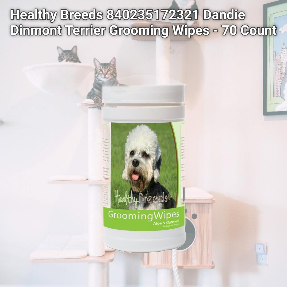 Picture of Healthy Breeds 840235172321 Dandie Dinmont Terrier Grooming Wipes - 70 Count