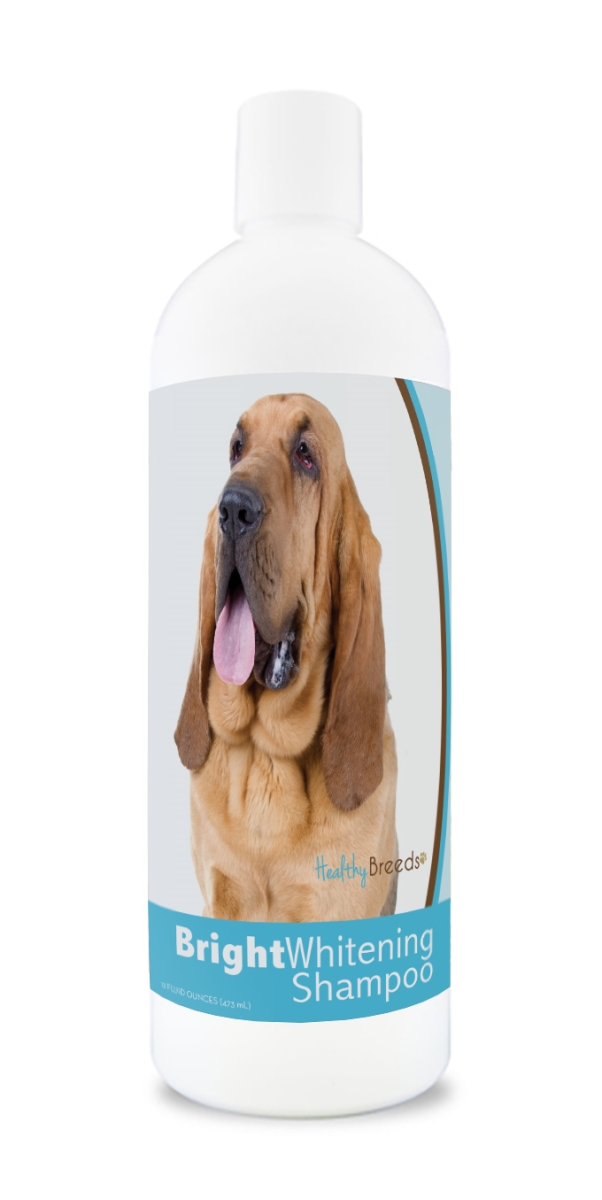 Picture of Healthy Breeds 840235182733 12 oz Bloodhound Bright Whitening Shampoo