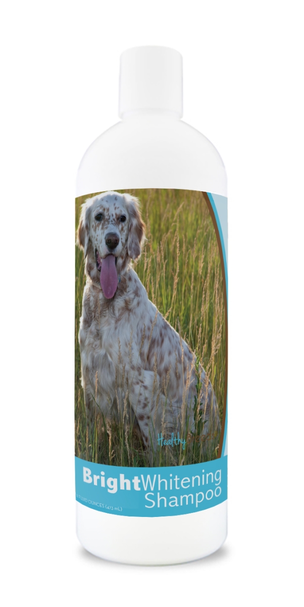 Picture of Healthy Breeds 840235106678 12 oz English Setter Bright Whitening Shampoo