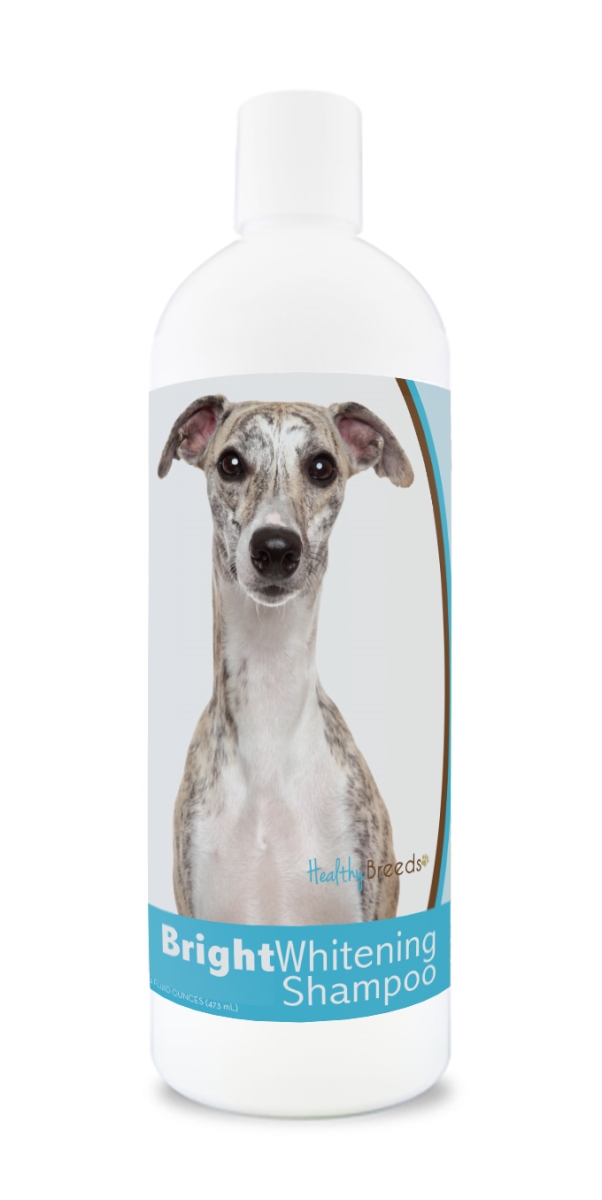 840235116387 12 oz Whippet Bright Whitening Shampoo