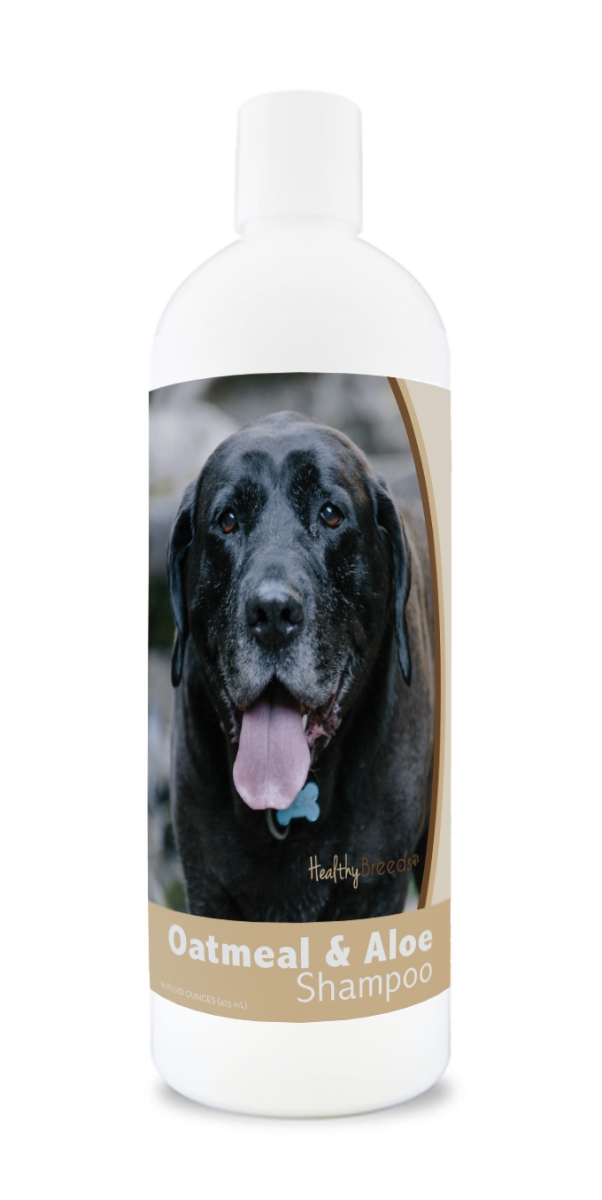 Picture of Healthy Breeds 840235176336 16 oz Mastador Oatmeal Shampoo with Aloe