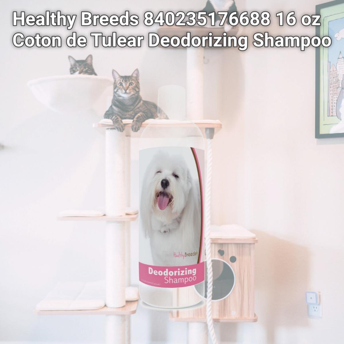 Picture of Healthy Breeds 840235176688 16 oz Coton de Tulear Deodorizing Shampoo