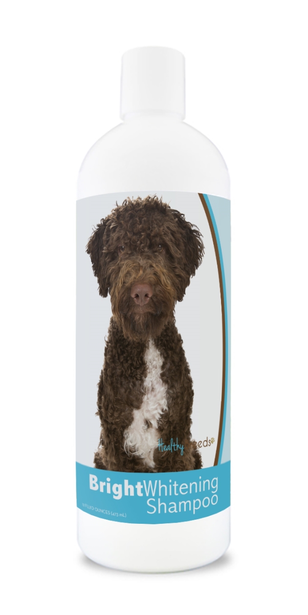 Picture of Healthy Breeds 840235176831 12 oz Lagotti Romagnoli Bright Whitening Shampoo