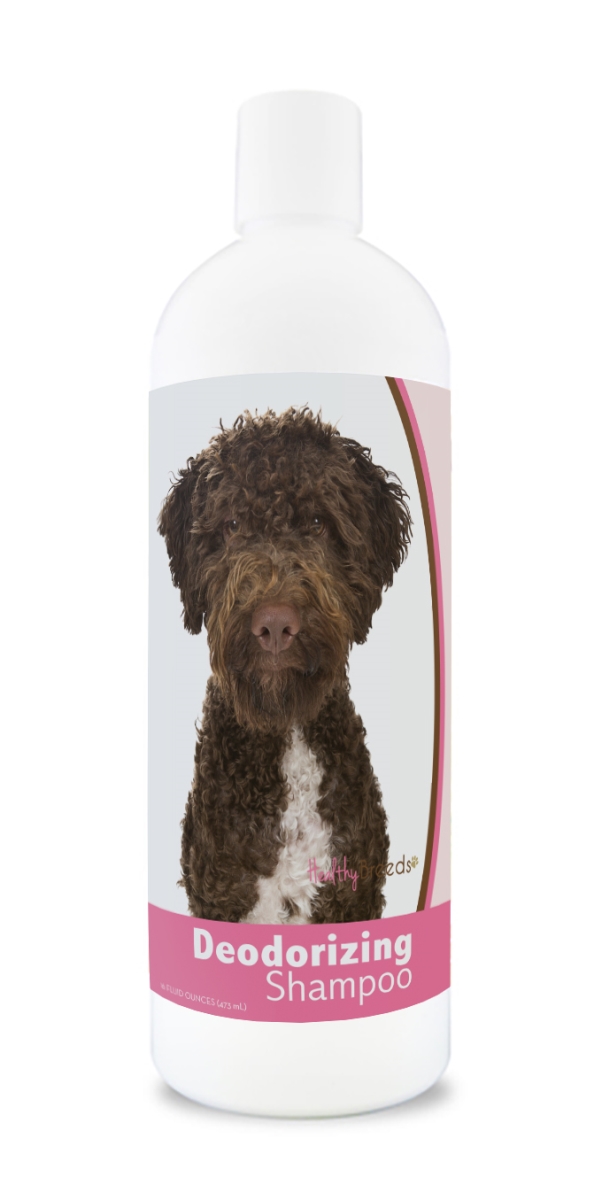 840235176848 16 oz Lagotti Romagnoli Deodorizing Shampoo
