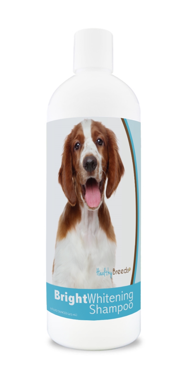 Picture of Healthy Breeds 840235177432 12 oz Welsh Springer Spaniel Bright Whitening Shampoo