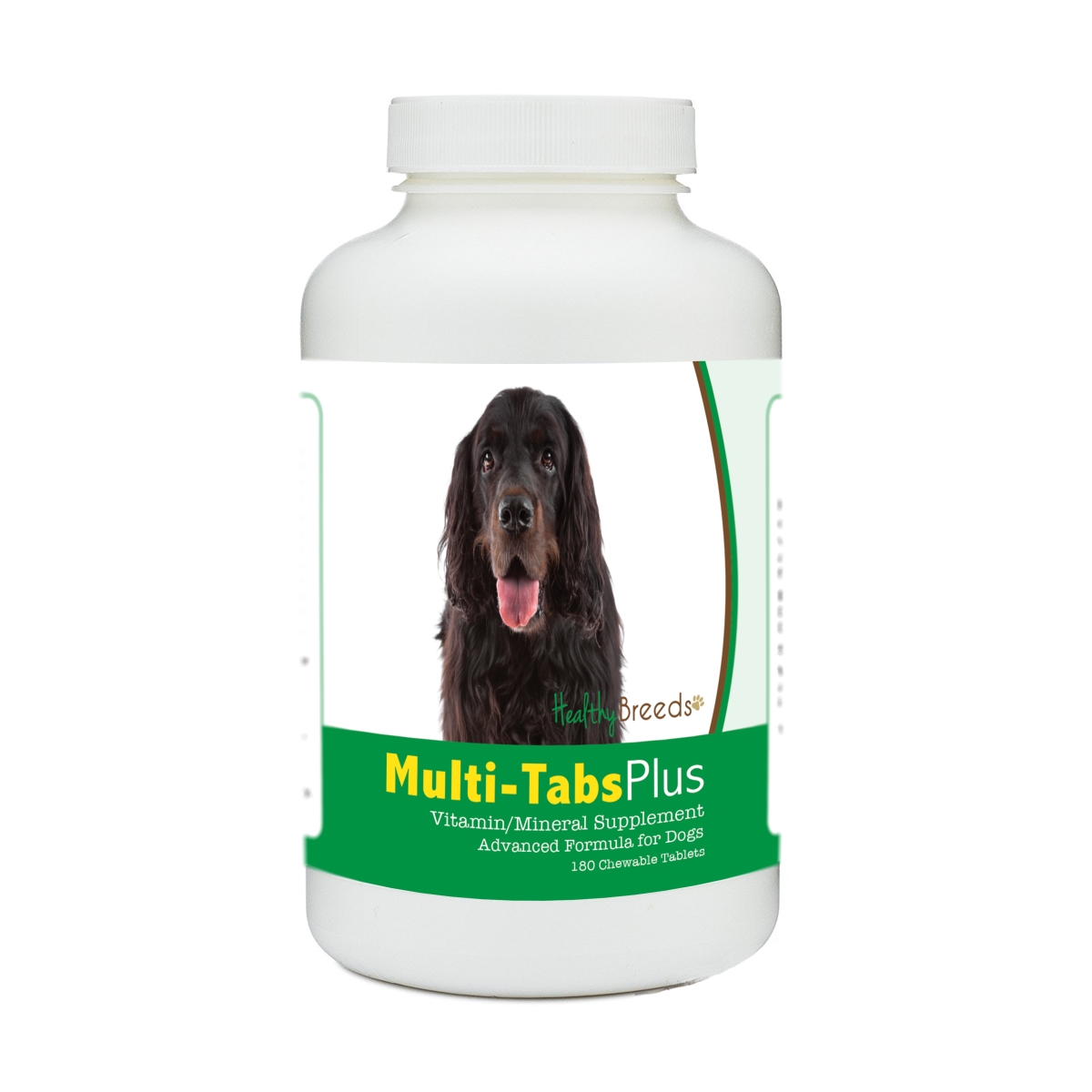 Picture of Healthy Breeds 840235140290 Gordon Setter Multi-Tabs Plus Chewable Tablets - 180 Count