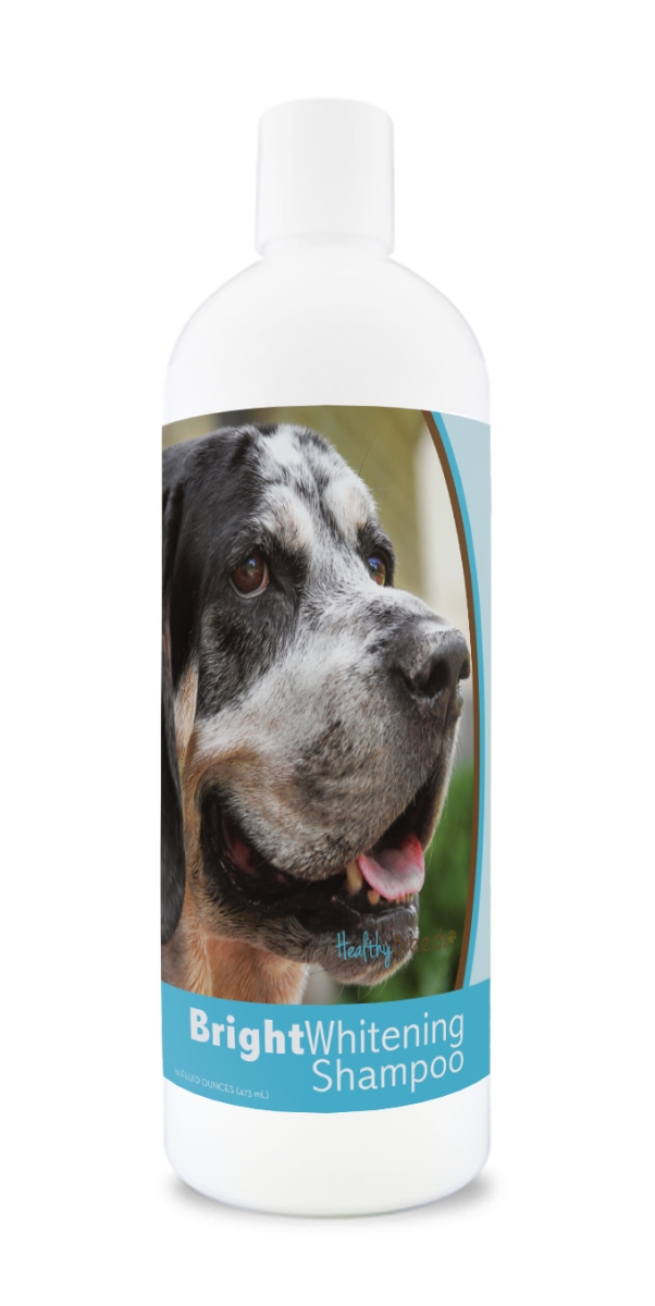 Picture of Healthy Breeds 840235178842 12 oz Bluetick Coonhound Bright Whitening Shampoo