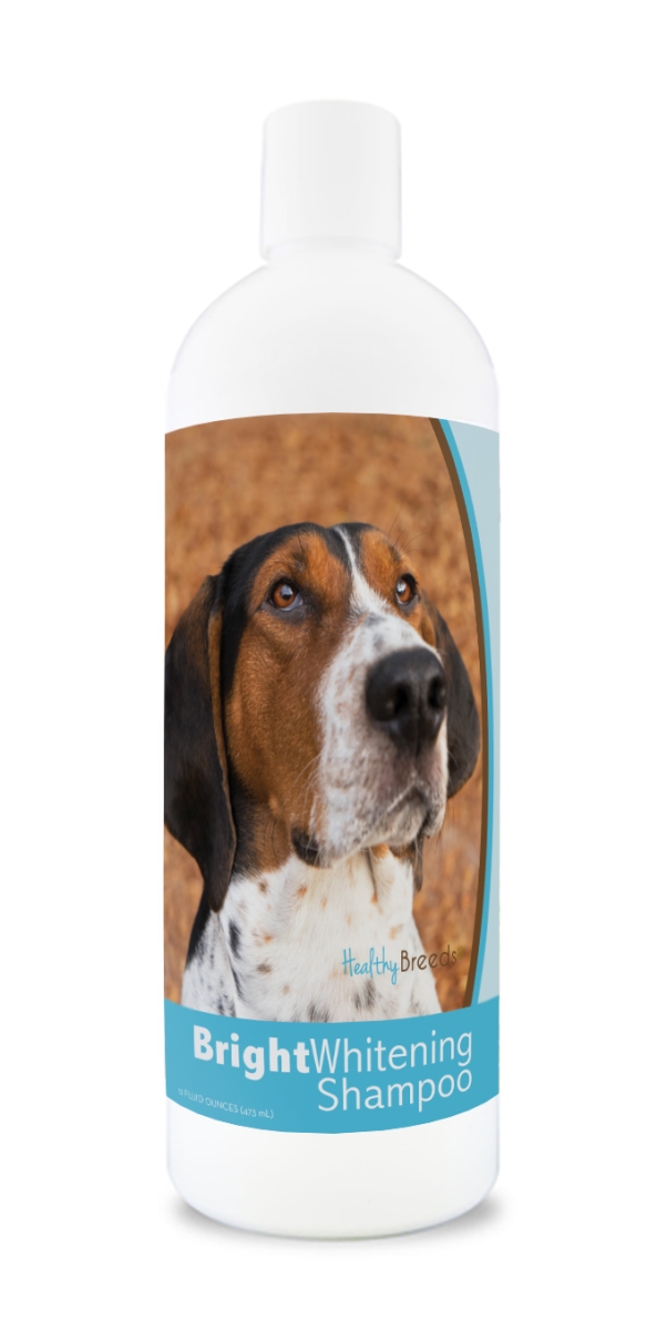 Picture of Healthy Breeds 840235179092 12 oz Treeing Walker Coonhound Bright Whitening Shampoo