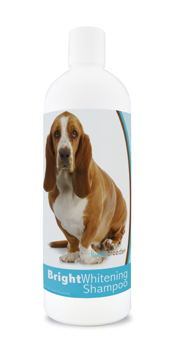 Picture of Healthy Breeds 840235169642 12 oz Basset Hound Bright Whitening Shampoo