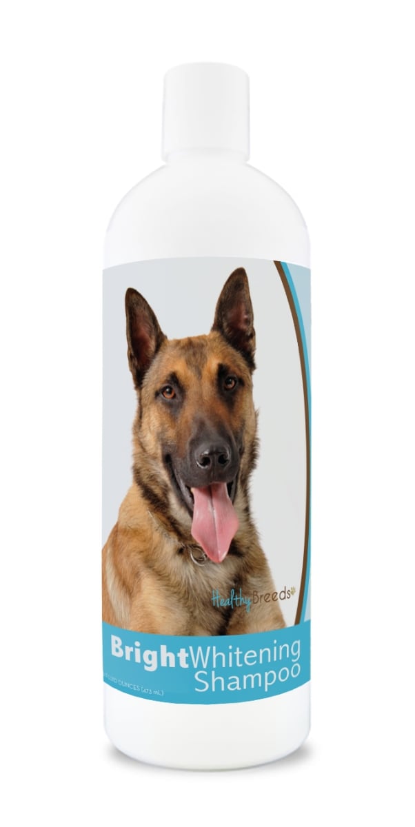 Picture of Healthy Breeds 840235169659 12 oz Belgian Malinois Bright Whitening Shampoo