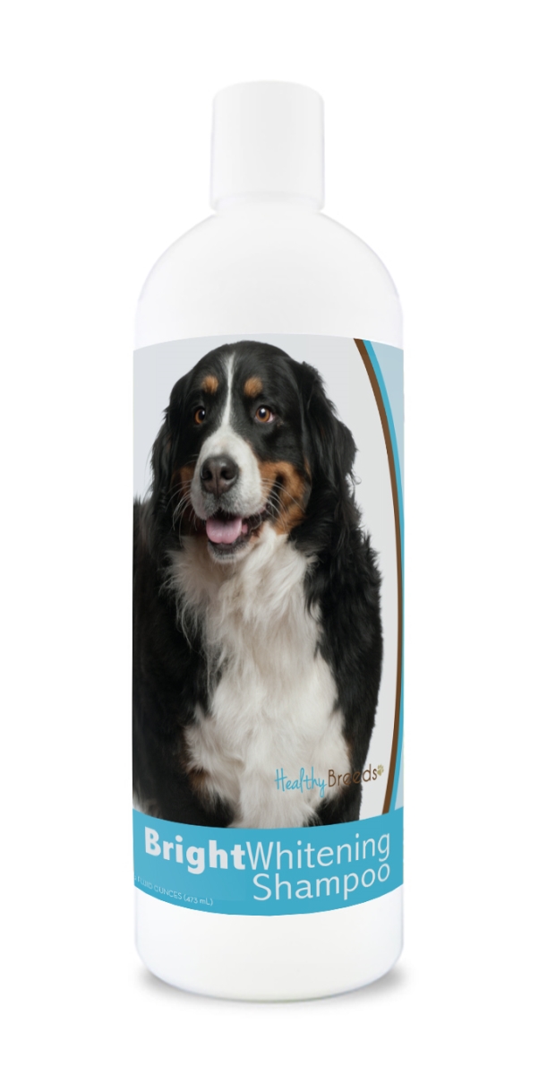 Picture of Healthy Breeds 840235169666 12 oz Bernese Mountain Dog Bright Whitening Shampoo