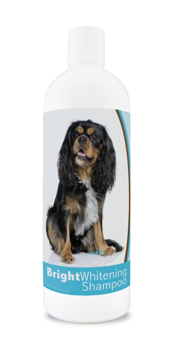 Picture of Healthy Breeds 840235169697 12 oz Cavalier King Charles Spaniel Bright Whitening Shampoo