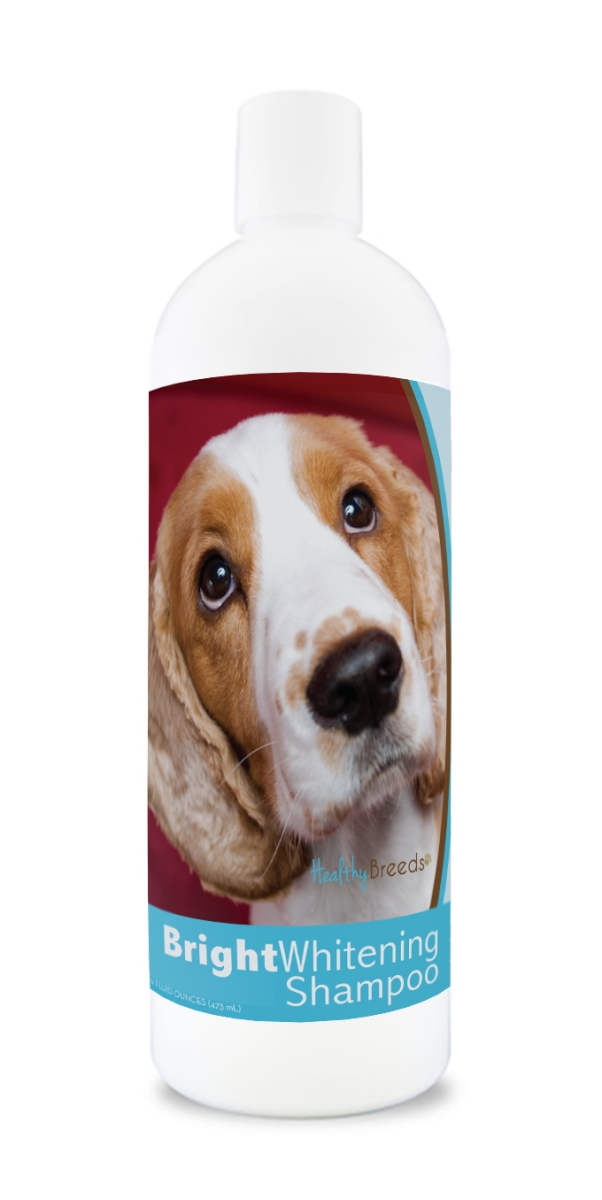 Picture of Healthy Breeds 840235169703 12 oz Cocker Spaniel Bright Whitening Shampoo