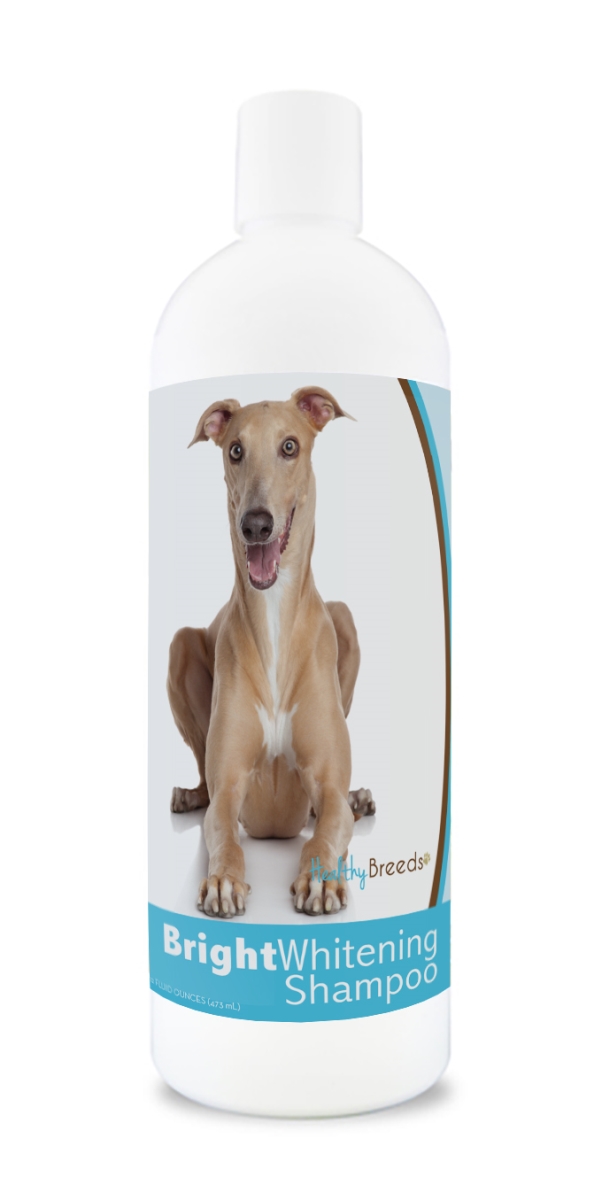 Picture of Healthy Breeds 840235169741 12 oz Italian Greyhound Bright Whitening Shampoo