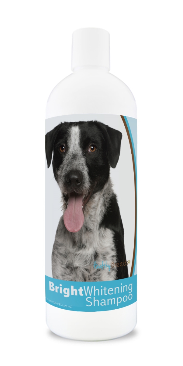 Picture of Healthy Breeds 840235169765 12 oz Mutt Bright Whitening Shampoo