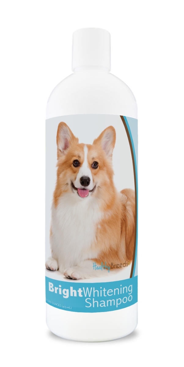 Picture of Healthy Breeds 840235169796 12 oz Pembroke Welsh Corgi Bright Whitening Shampoo