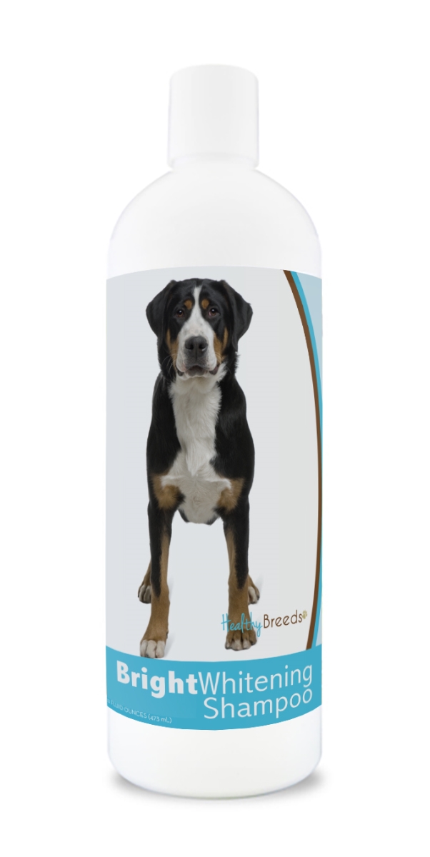 Picture of Healthy Breeds 840235169819 12 oz Greater Swiss Mountain Dog Bright Whitening Shampoo