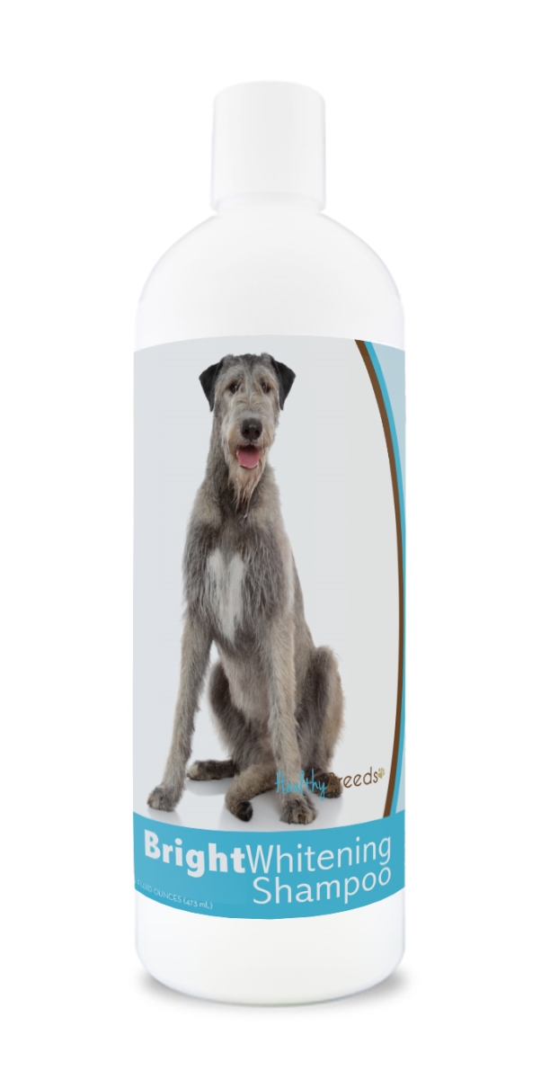 Picture of Healthy Breeds 840235169826 12 oz Irish Wolfhound Bright Whitening Shampoo