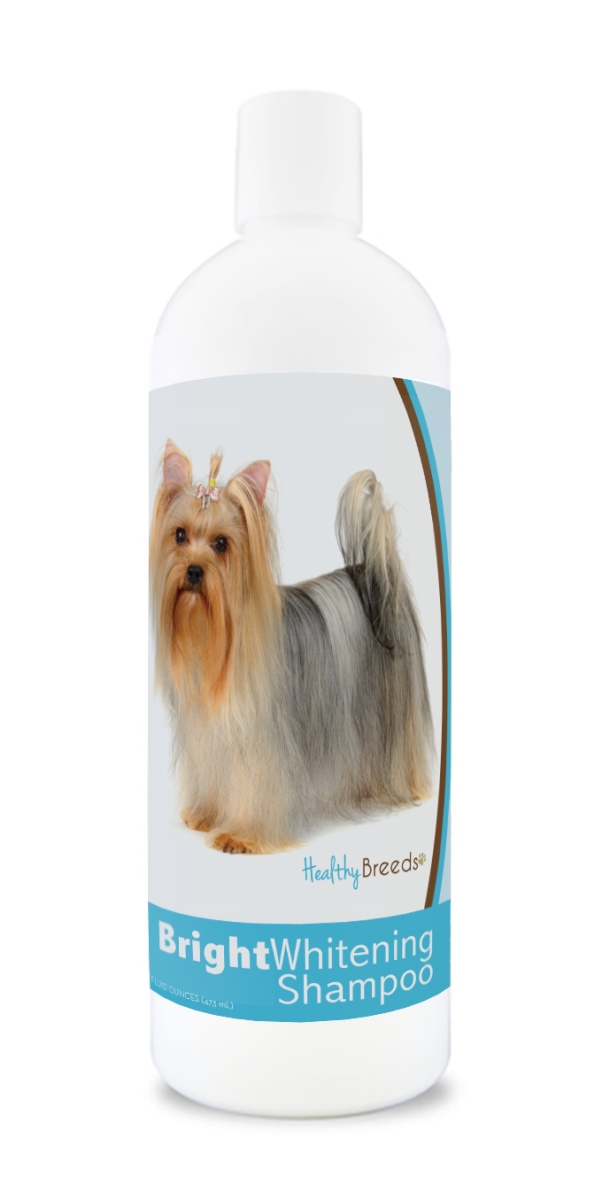 Picture of Healthy Breeds 840235169833 12 oz Yorkshire Terrier Bright Whitening Shampoo