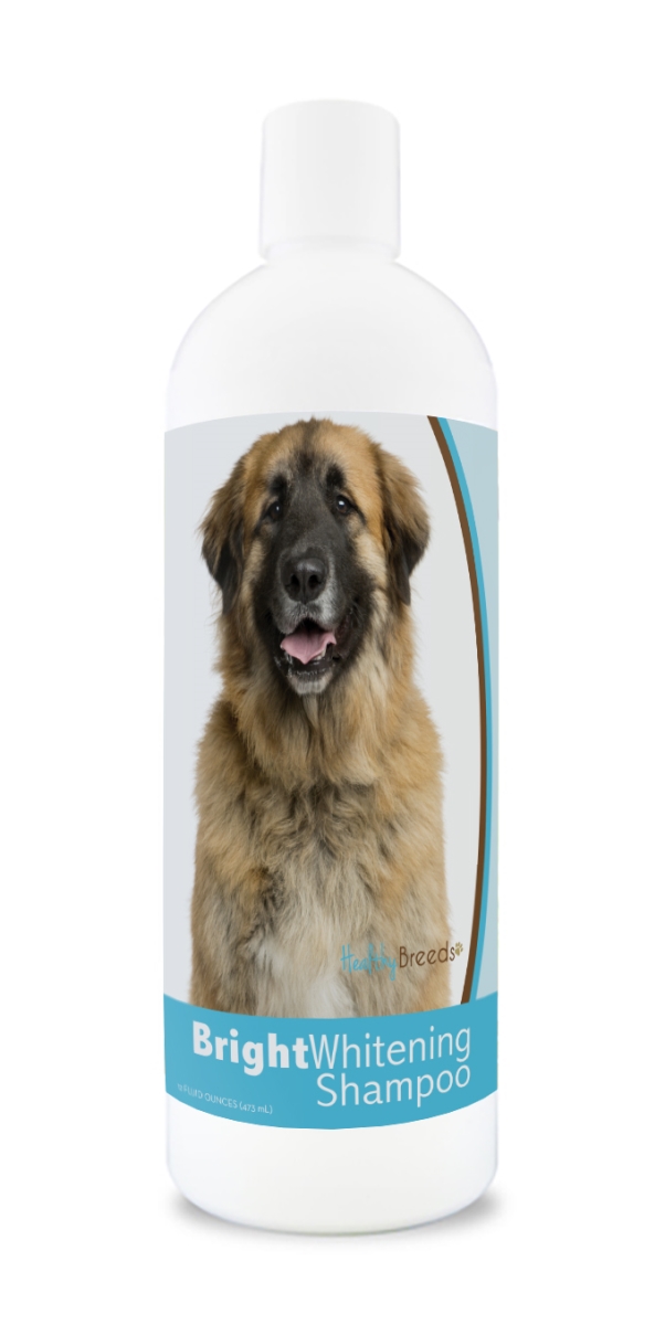Picture of Healthy Breeds 840235180227 12 oz Leonberger Bright Whitening Shampoo