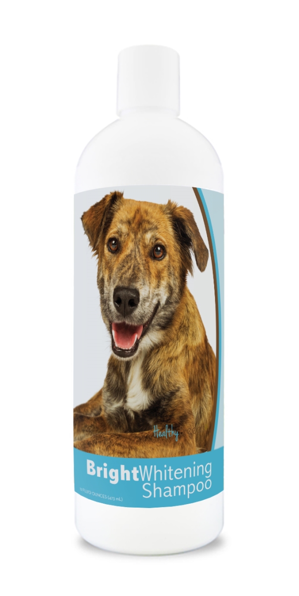 Picture of Healthy Breeds 840235180272 12 oz Plott Bright Whitening Shampoo