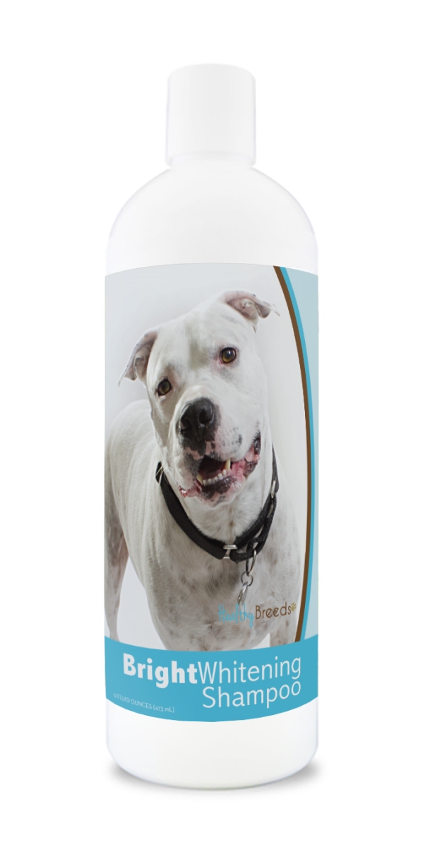Picture of Healthy Breeds 840235180388 12 oz Pit Bull Bright Whitening Shampoo