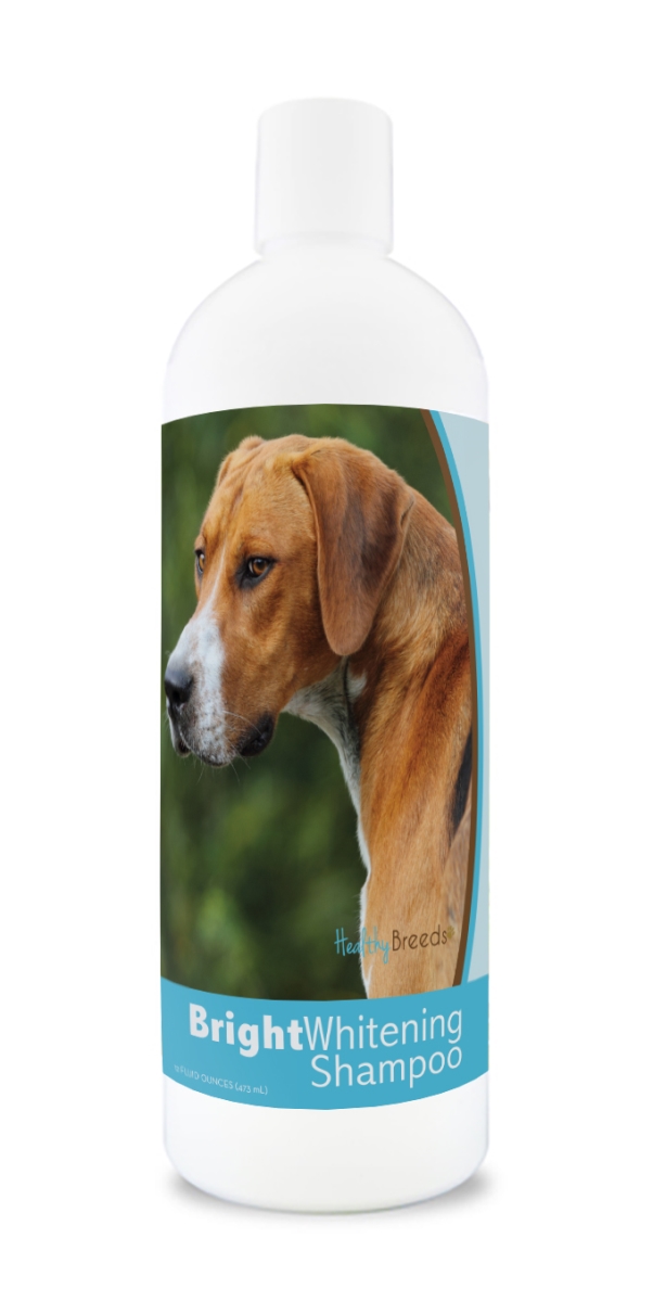 Picture of Healthy Breeds 840235180562 12 oz English Foxhound Bright Whitening Shampoo