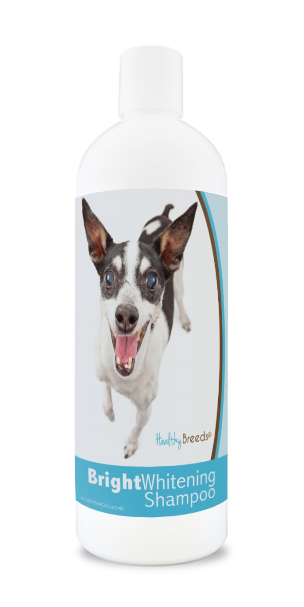 Picture of Healthy Breeds 840235181033 12 oz Rat Terrier Bright Whitening Shampoo