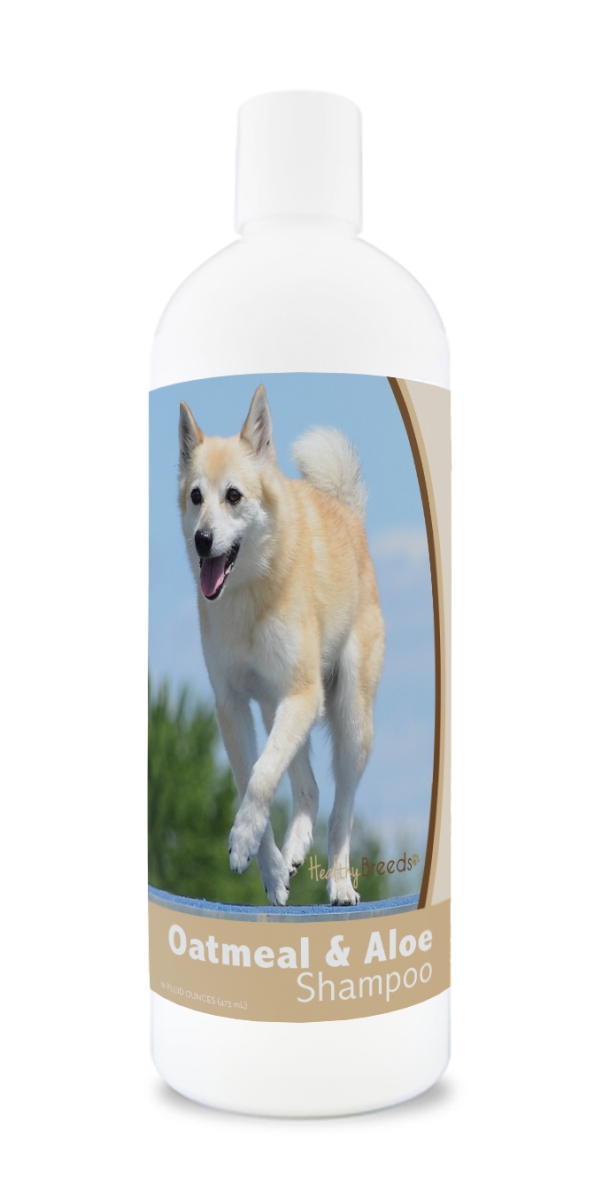 Picture of Healthy Breeds 840235171348 16 oz Norwegian Buhund Oatmeal Shampoo with Aloe