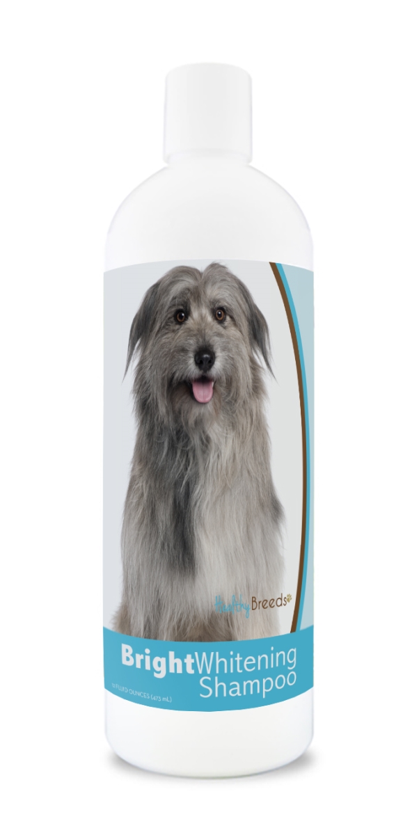 Picture of Healthy Breeds 840235171560 12 oz Pyrenean Shepherd Bright Whitening Shampoo
