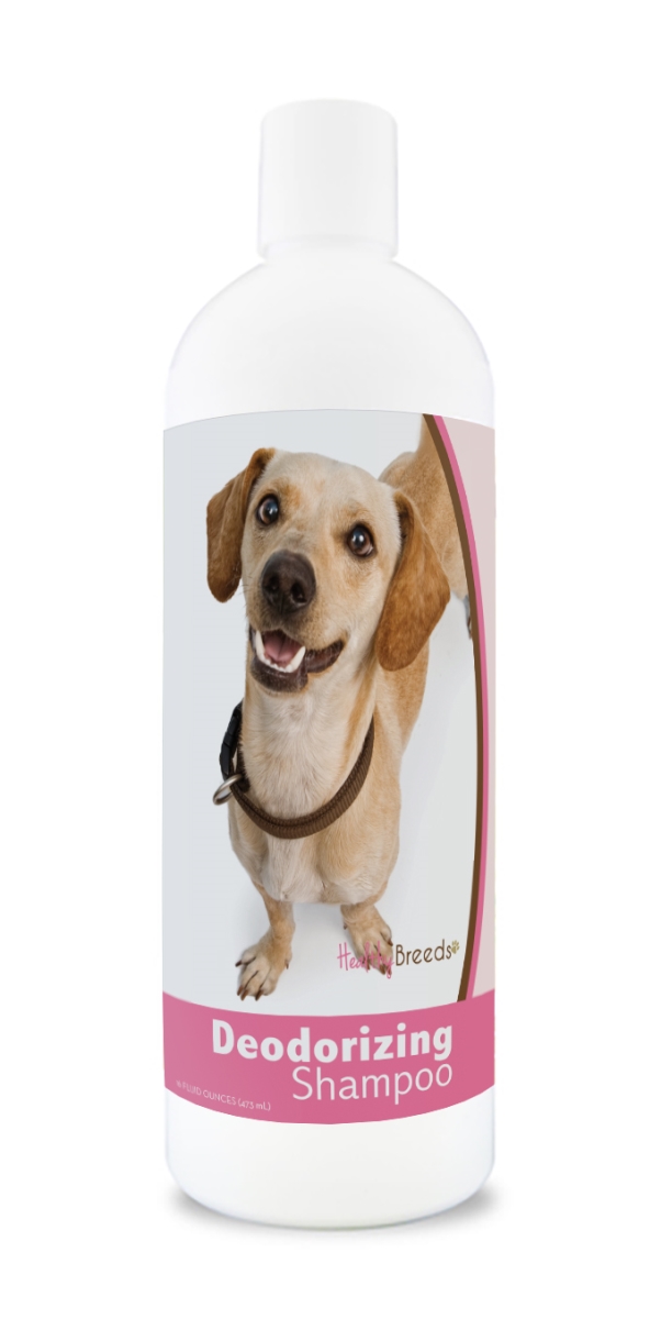 840235171805 16 oz Chiweenie Deodorizing Shampoo