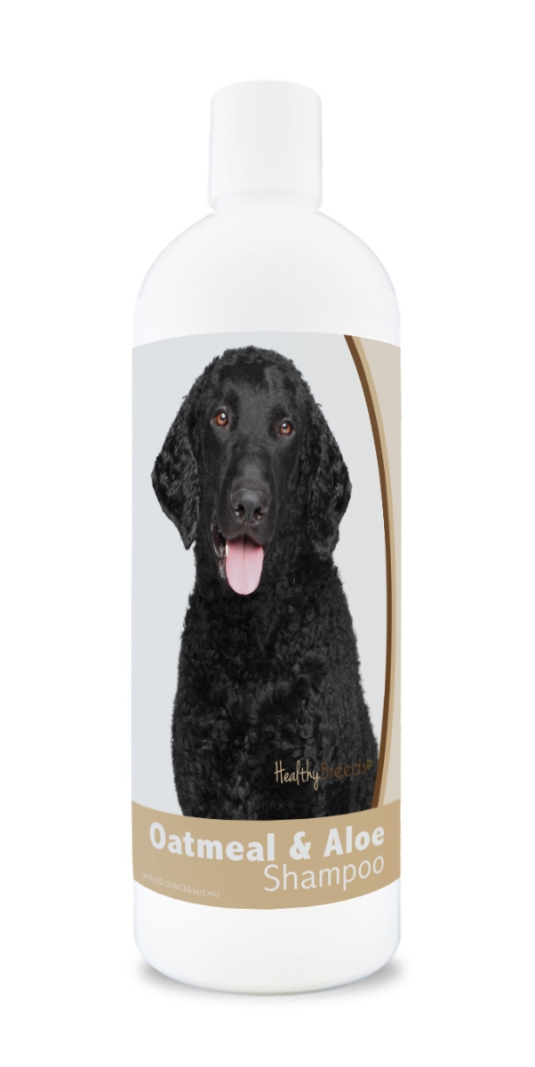 Picture of Healthy Breeds 840235171881 16 oz Curly-Coated Retriever Oatmeal Shampoo with Aloe