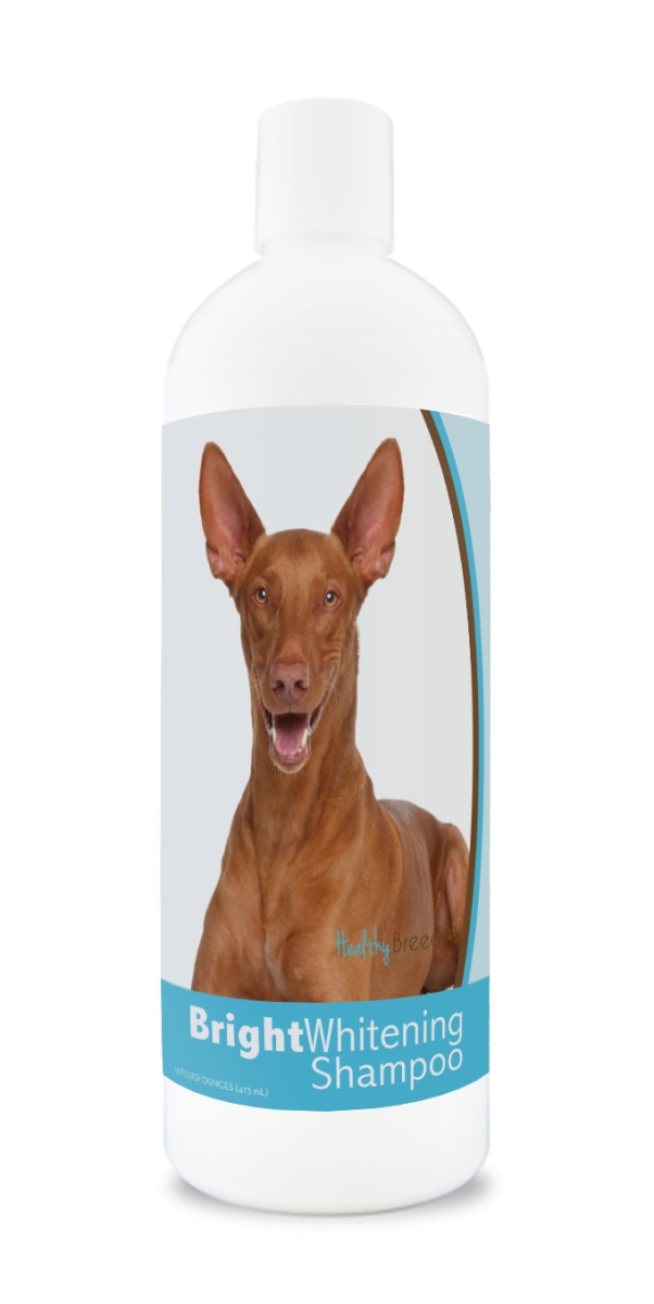 Picture of Healthy Breeds 840235181514 12 oz Pharaoh Hound Bright Whitening Shampoo