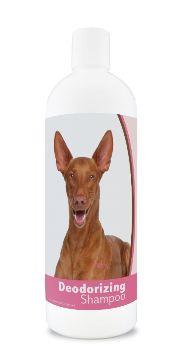 840235181521 16 oz Pharaoh Hound Deodorizing Shampoo