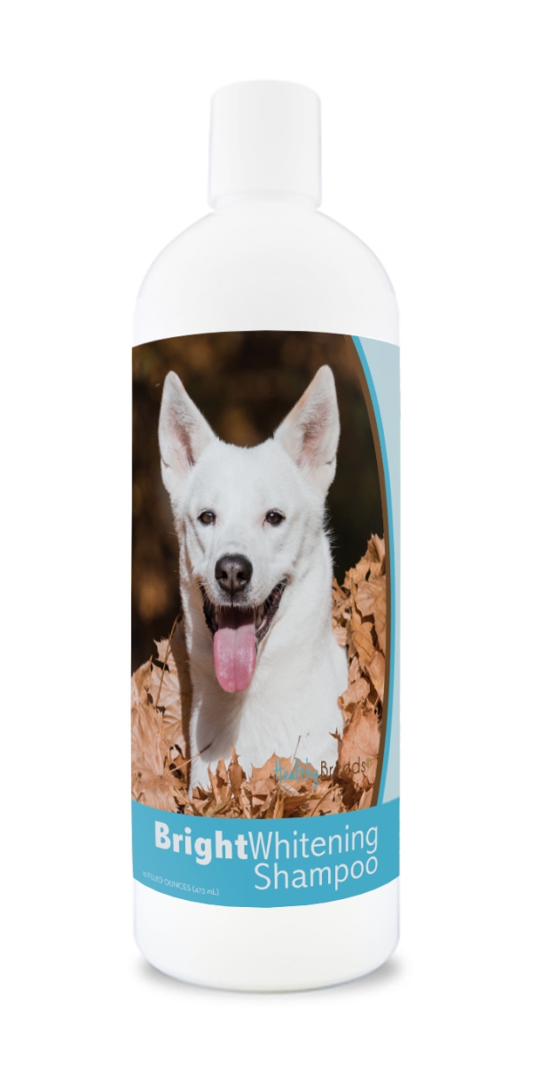 Picture of Healthy Breeds 840235181576 12 oz Canaan Dog Bright Whitening Shampoo