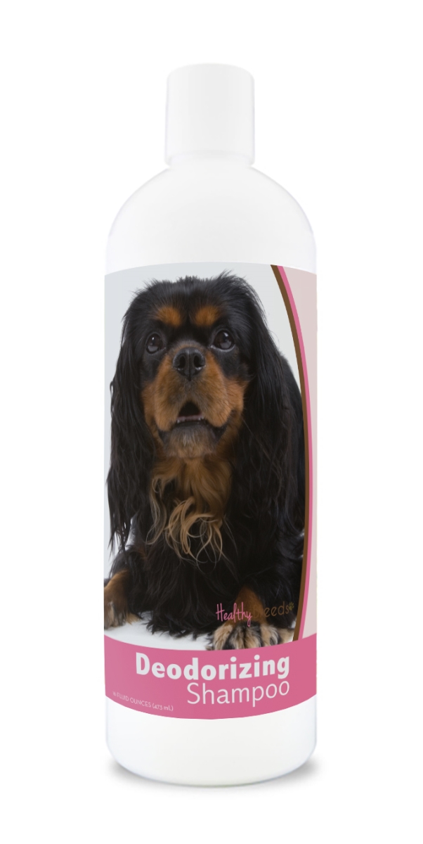 840235182191 16 oz English Toy Spaniel Deodorizing Shampoo
